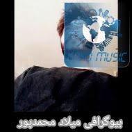 بیوگرافی میلاد محمدپور (تنظیم کننده، آهنگساز و نوازنده)